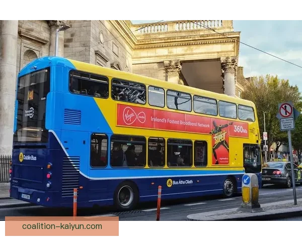 爱尔兰国家队都柏林主场近期表现稳健竞争力持续提升